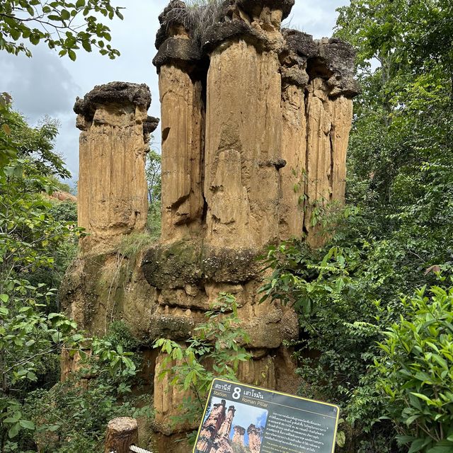 ผาช่อ Phachor (Mae Wang National Park) เชียงใหม่