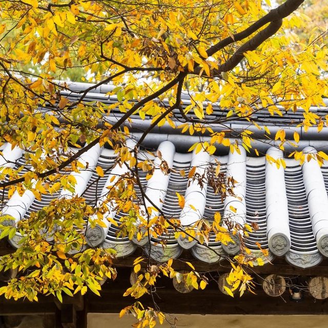 Discover amazing Autumn@ Korean Folk Village