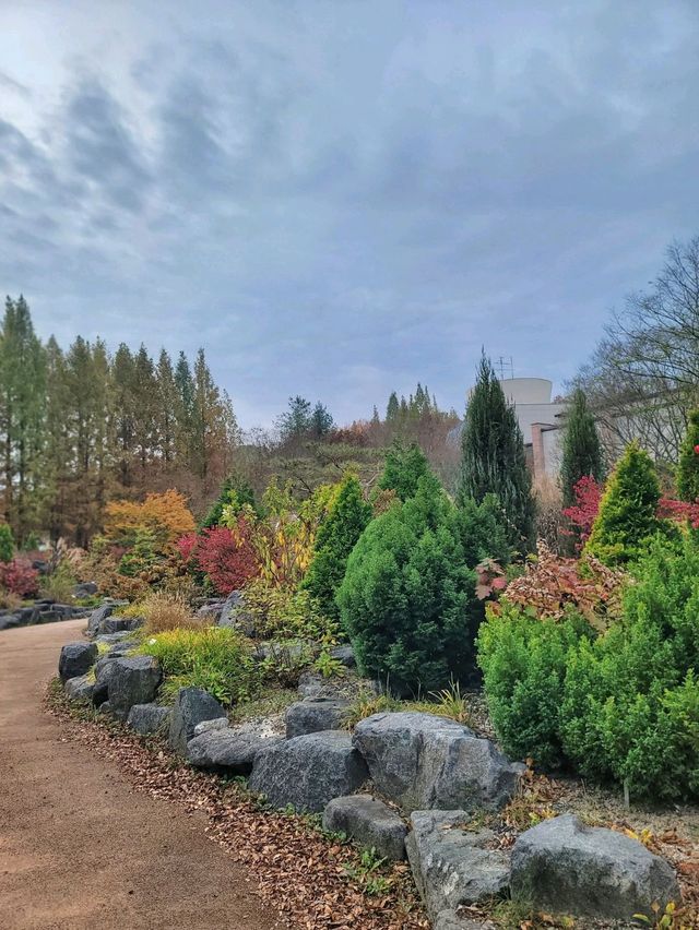 아직은 보내기 싫은 늦가을 즐기기🍁