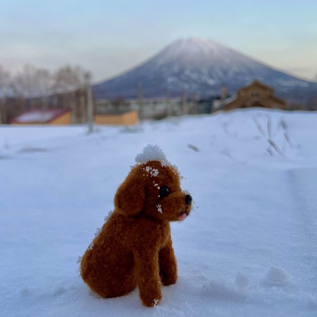 Niseko with Chocolate