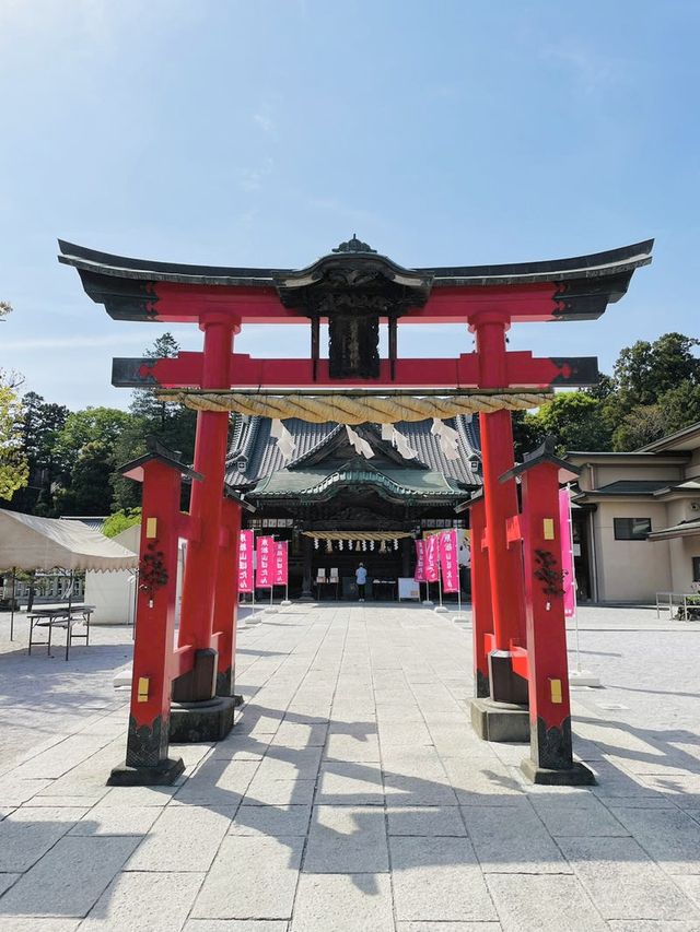 【埼玉県/箭弓稲荷神社】2023年行ってよかった！埼玉県の神社①