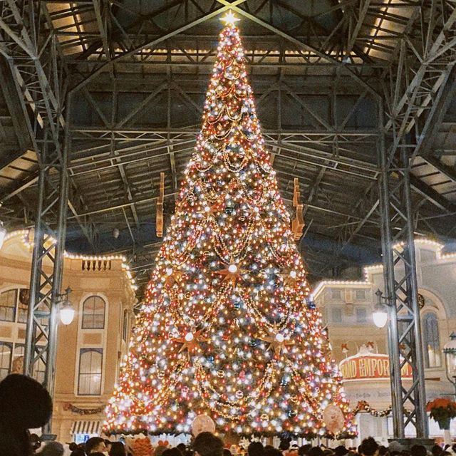 40周年&クリスマスイベント中のディズニーがアツい🔥