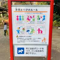 参道の途中にある公園 - 氷川の杜公園 -