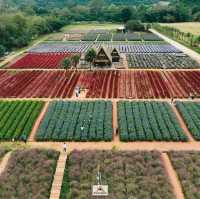 Hokkaido Flower Park Khaoyai