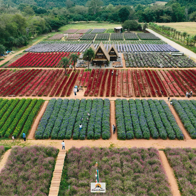 Hokkaido Flower Park Khaoyai