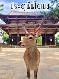 “ประตูนันไดมง” สมบัติชาติของนารา