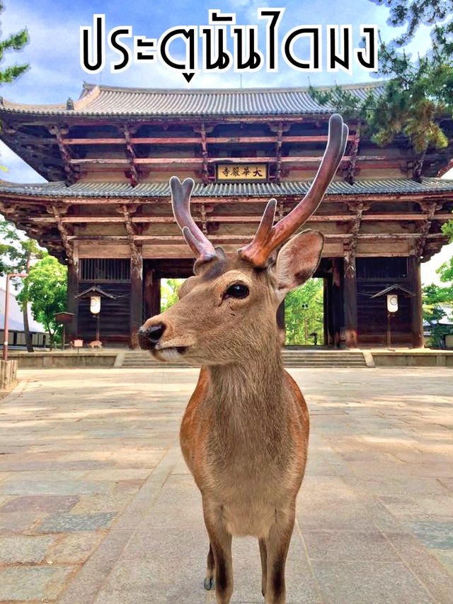 “ประตูนันไดมง” สมบัติชาติของนารา