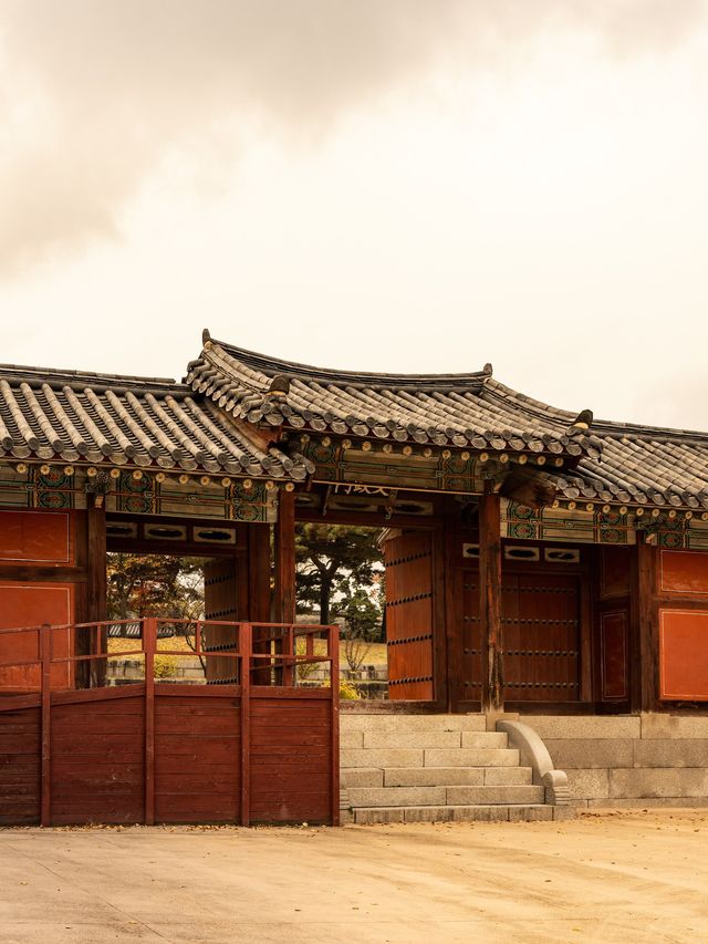 韓國好去處｜感受韓國古蹟的靜謐——昌慶宮