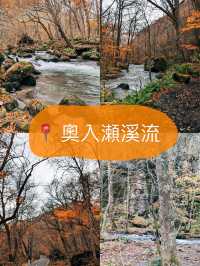 🇯🇵日本青森奧入瀨溪流👣四季都有不同的樣貌🥳