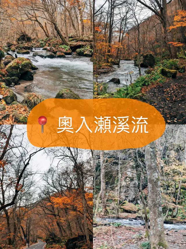 🇯🇵日本青森奧入瀨溪流👣四季都有不同的樣貌🥳