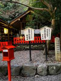A shrine inside the bamboo forest ⛩️🕋