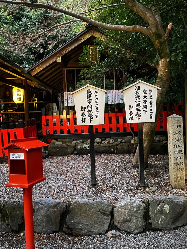 A shrine inside the bamboo forest ⛩️🕋