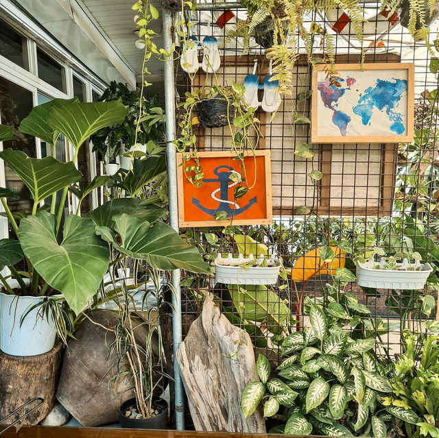 Kyudi Cafe