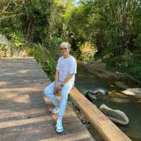 Taan Forest Chiangrai ค่าเฟ่สไตล์ยุโรปผสมผสานสไตล์