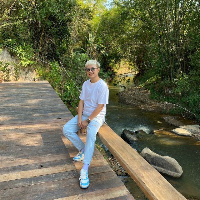 Taan Forest Chiangrai ค่าเฟ่สไตล์ยุโรปผสมผสานสไตล์