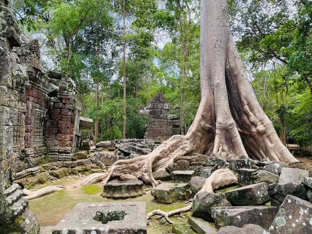 Known as the Hidden Temple.