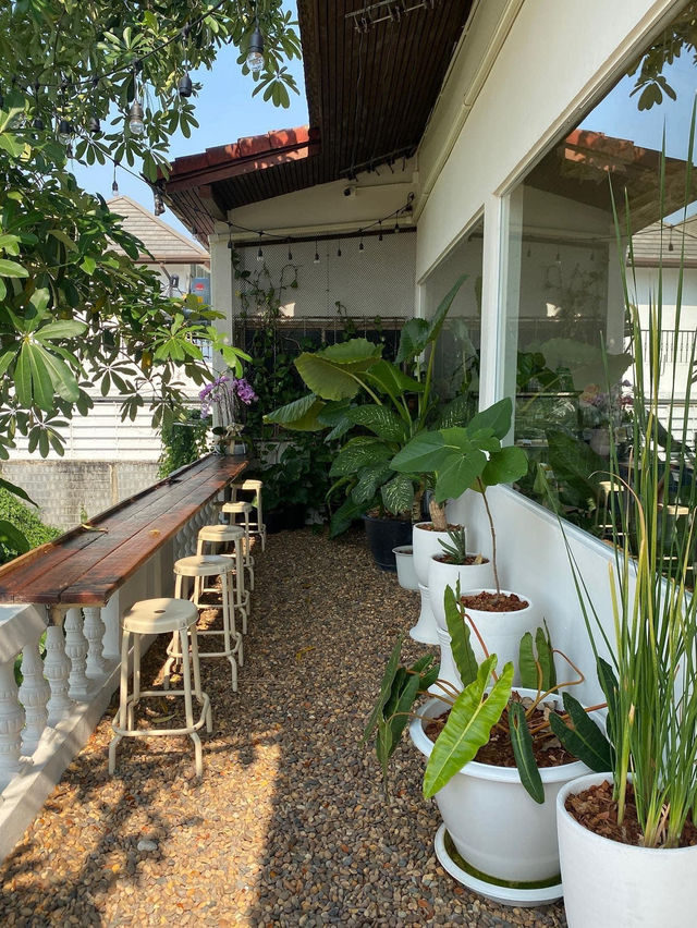 Summer Rain Cafe & Restaurant 🍵🍵