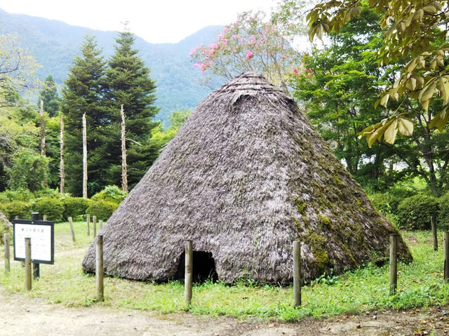 Hoshino Archaeological site