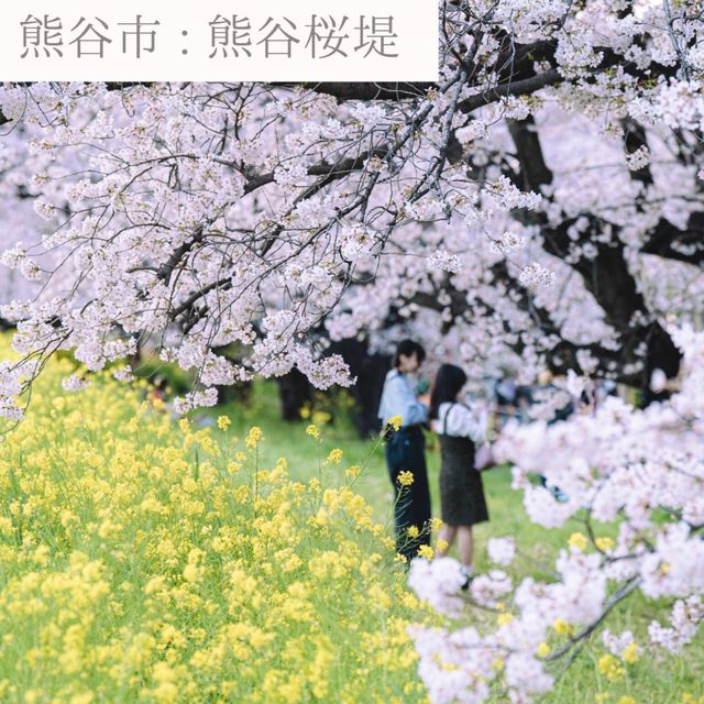 【埼玉】おすすめSAKURAスポット6選