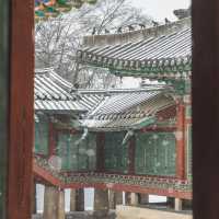 고궁에서 만나는 새하얀 설경 창덕궁 