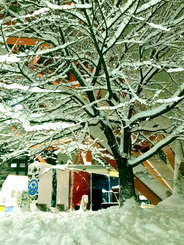 Sapporo Tower in Winter