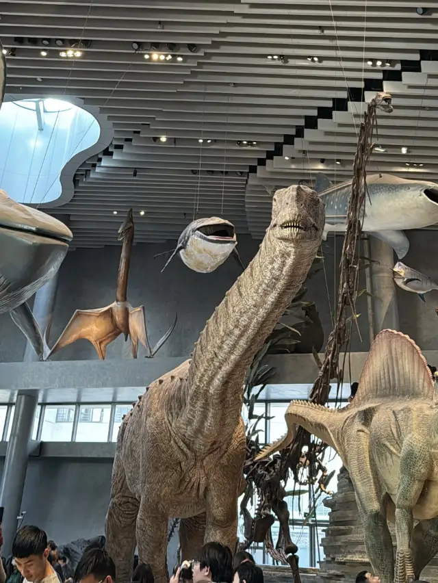 Shanghai Natural History Museum 🇨🇳