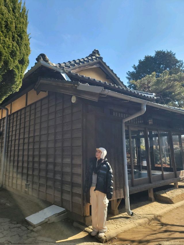 빠질수 없는 군산여행코스 일본식가옥🧡