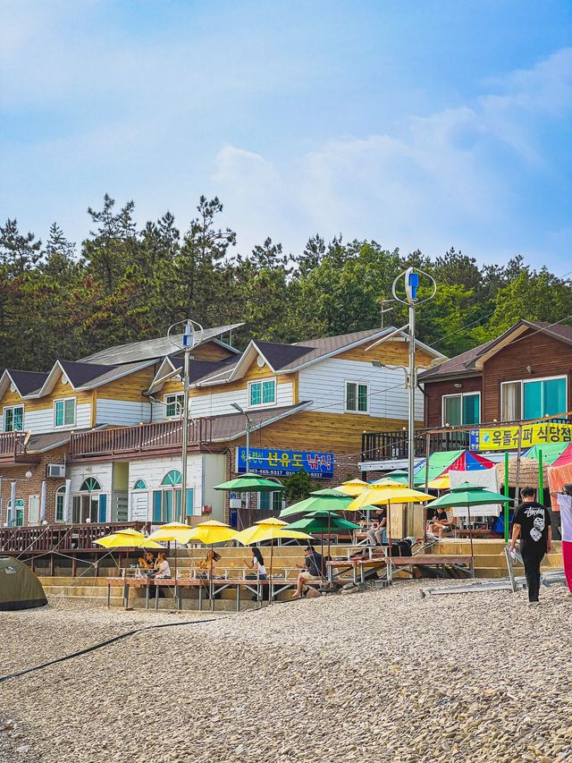 전라도에서 느끼는 제주 감성 🏖️