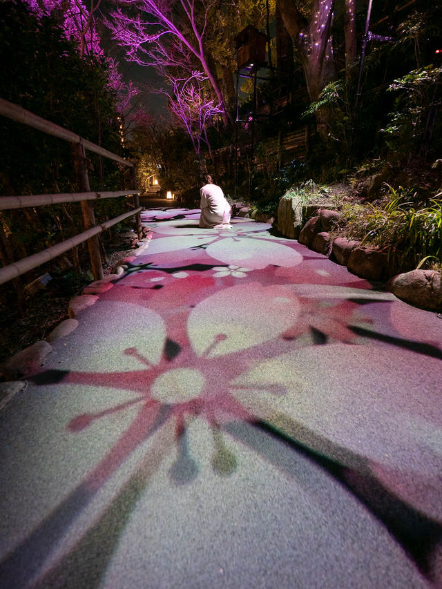 【春に見れる光のアート！🎨】桜の花びらが舞い散る演出が綺麗すぎる！🌸✨