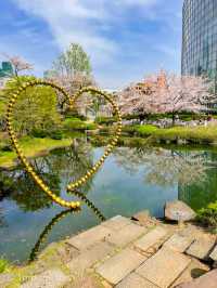 都会的な風景と桜のコラボが美しい、東京ミッドタウンと六本木ヒルズ