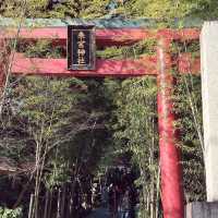 【熱海】春先取り🌸東京から2時間で行ける癒しスポット🌿