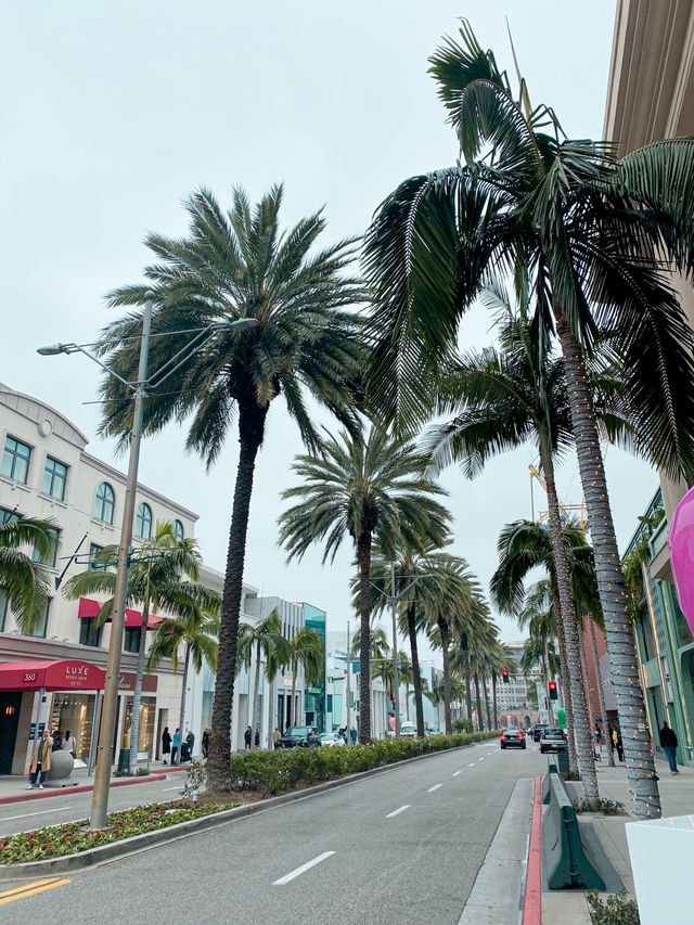 Beautiful and Luxurious Rodeo Drive, LA 🇺🇸