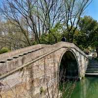 Blossoms' Passage: Yuxiu's Serenity