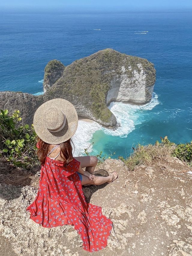【ペニダ島🇮🇩】バリ島から日帰りで行ける絶景アイランド