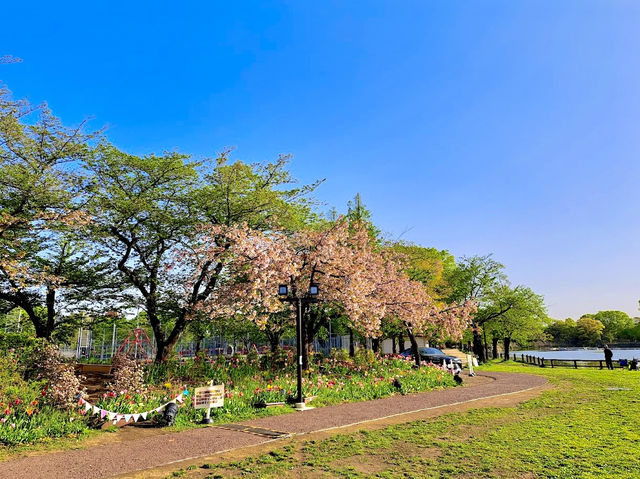 Ukima Park