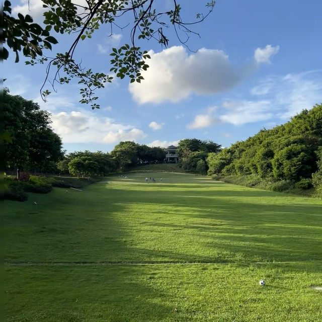 【臺北景點】花博公園繡球花海，洗滌身心疲憊