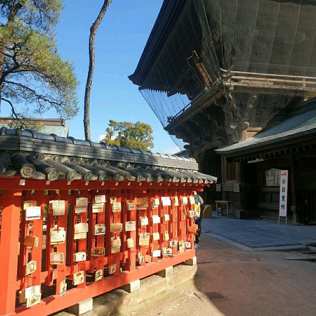 한적함을 즐길 수 있는 하코자키궁⛩