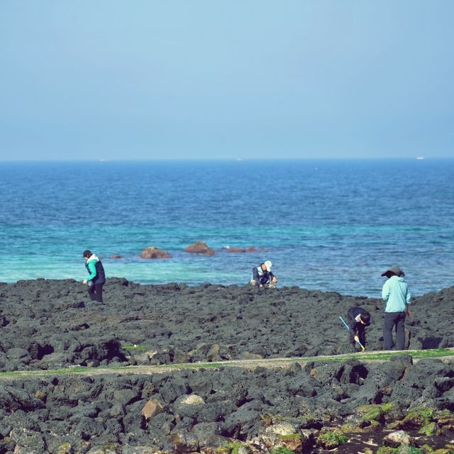 🌊 함덕해변, 제주도의 푸른 보석