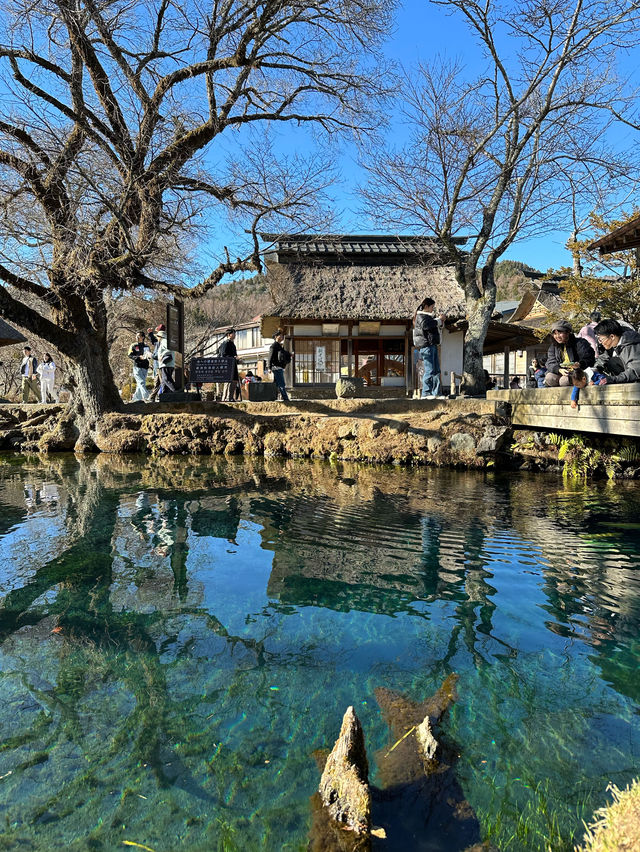 意外と知らない？風情を感じる絶景「忍野八海」とは