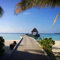 Exclusive resort  with underwater restaurant