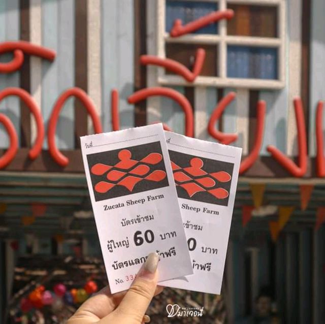 ฟาร์มแกะเพชรบุรี ที่ไม่ได้มีแค่แกะ เดินเพลินมาก