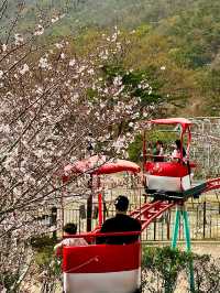 【韓国・金海】春に行きたい！金海のテーマパーク