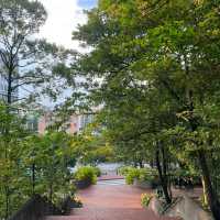 三巴旺公園：綠意盎然，感受新加坡城市綠化成就