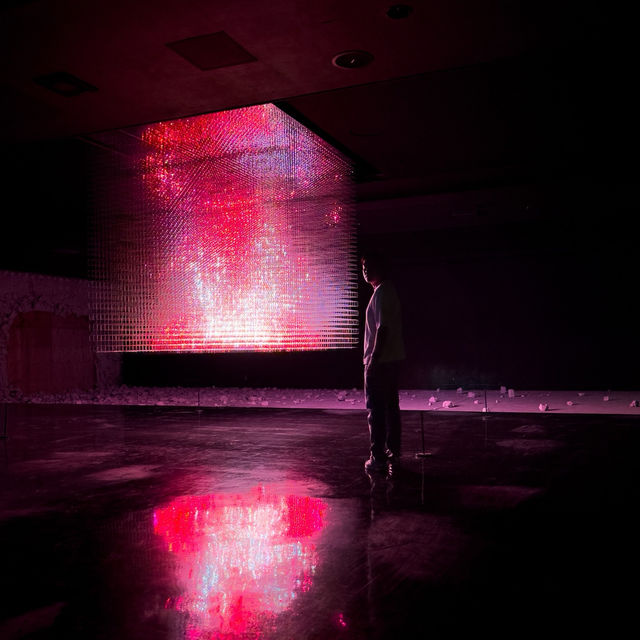 teamLab : A Forest Where Gods Live