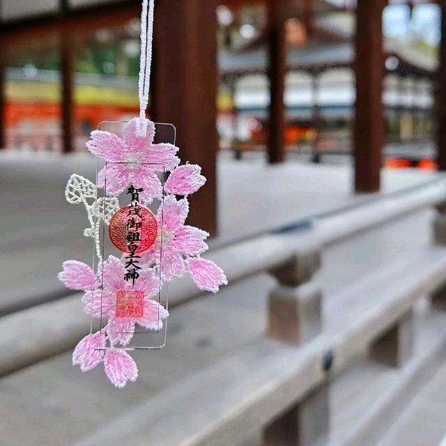 「京都櫻花，短暫而美麗」