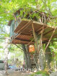 【栃木/那須】一度は泊まってみたいツリーハウス🌲