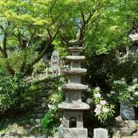 福岡景點～大悲王院～恬靜氛圍