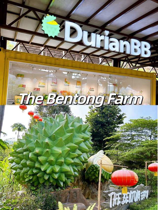 Durian BB & the Biggest Durian Replica