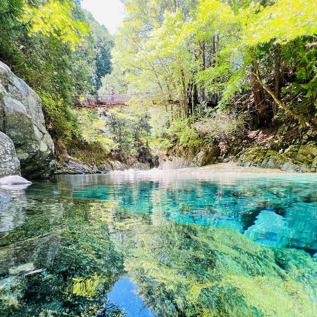 山中溪：清澈溪水與蒼翠山林的夢幻仙境，享受自然恬靜之美