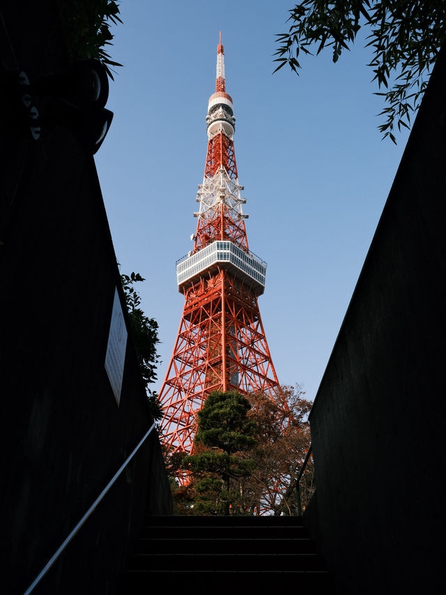 東京鐵塔四大打卡影相位🗼📸